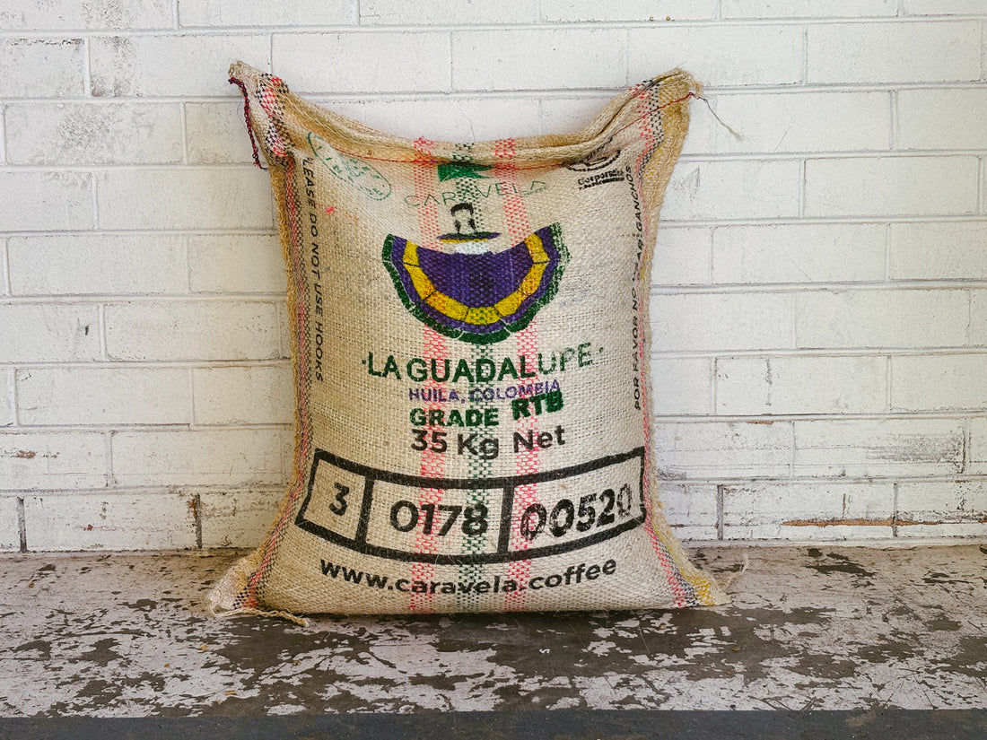 Community Partnership: La Guadalupe