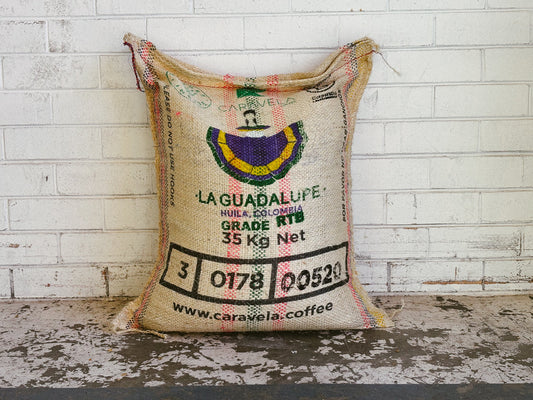 Community Partnership: La Guadalupe
