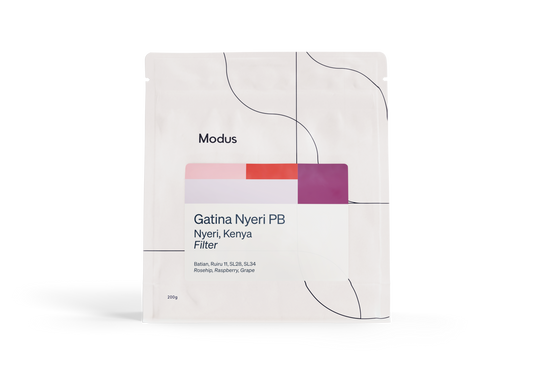 Gatina PB | Wholesale