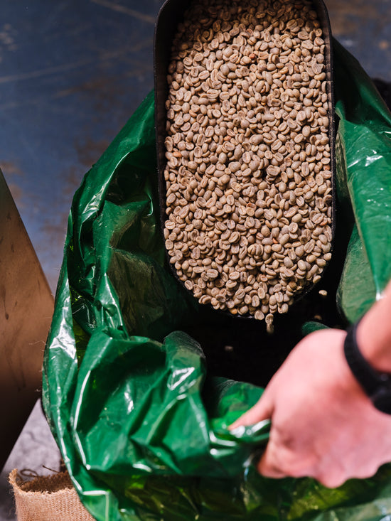 About – Modus Coffee